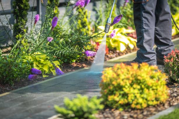 Best Boat and Dock Cleaning  in Valley Park, MO
