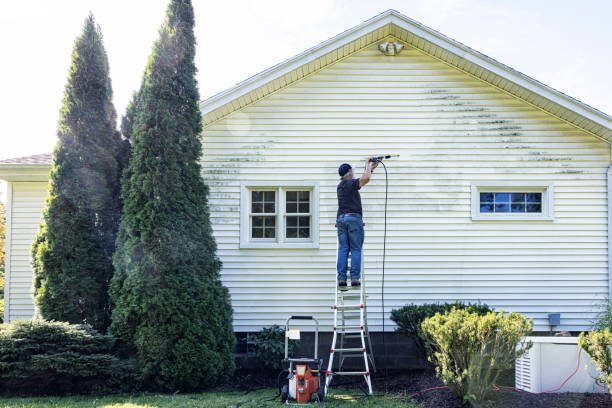 Best House Exterior Washing  in Valley Park, MO